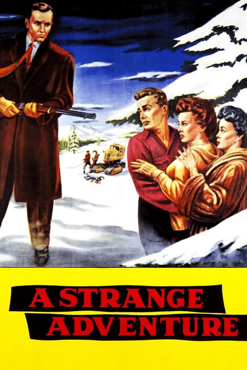 Постер: A Strange Adventure