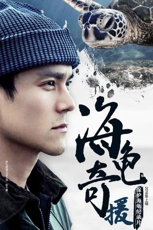 Постер: 海龟奇援