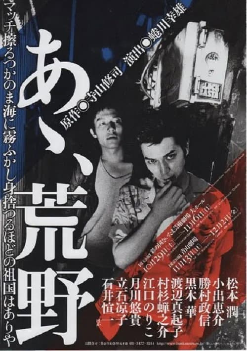 Постер: あゝ、荒野