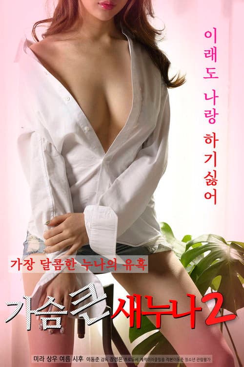 Постер: 가슴 큰 새 누나 2