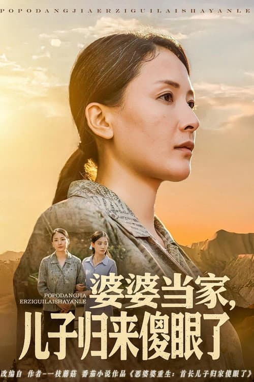 Постер: 婆婆当家,儿子归来傻眼了