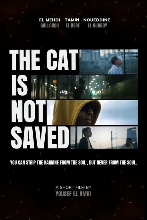 Постер: The cat is not saved