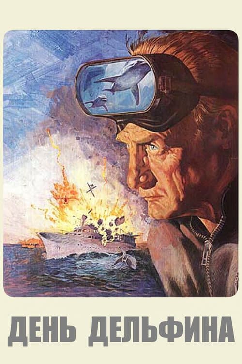 Кадр 2