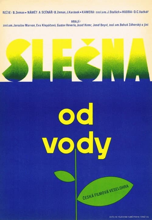 Постер: Slečna od vody