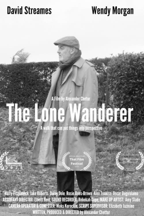 Постер: The Lone Wanderer