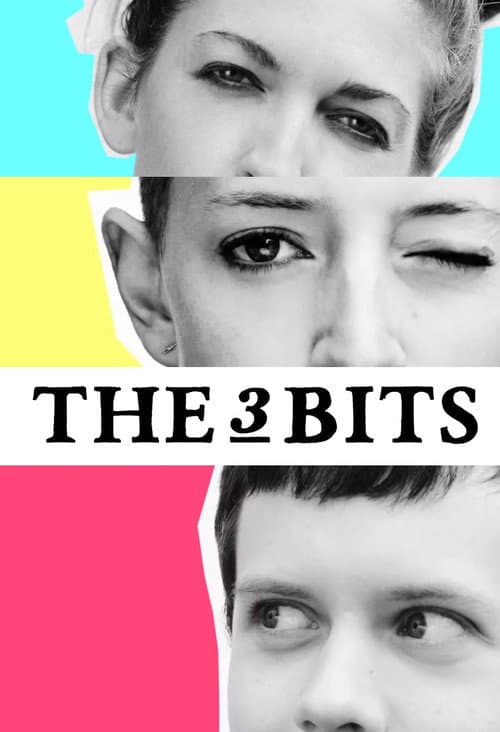 Постер: The 3 Bits