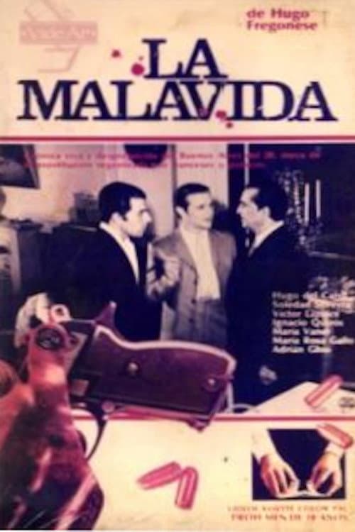 Постер: La Malavida