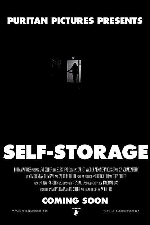 Постер: Self-Storage