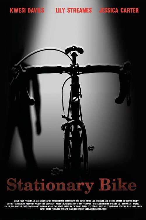 Постер: Stationary Bike