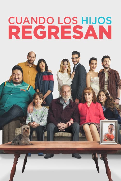 Постер: Cuando los Hijos Regresan