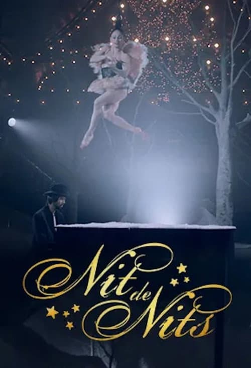 Постер: Nit de nits