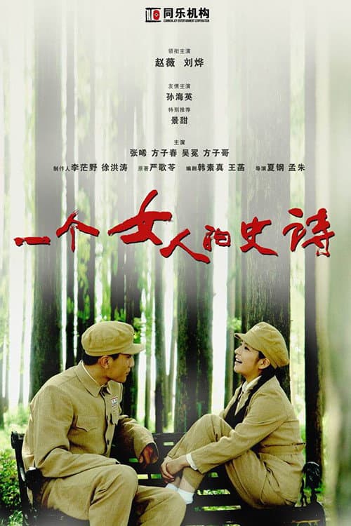 Постер: 一个女人的史诗