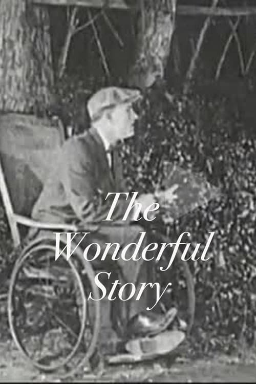 Постер: The Wonderful Story