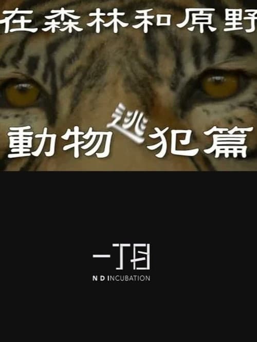 Постер: 在森林和原野-動物逃犯篇