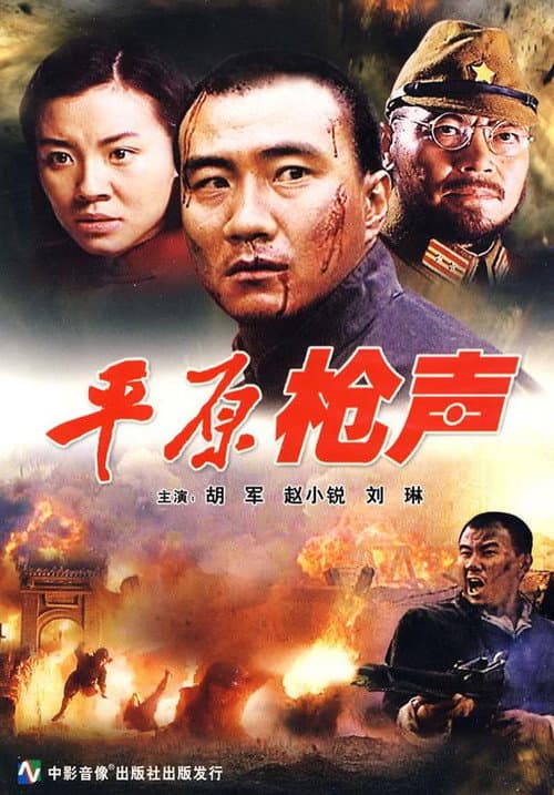 Постер: 平原枪声
