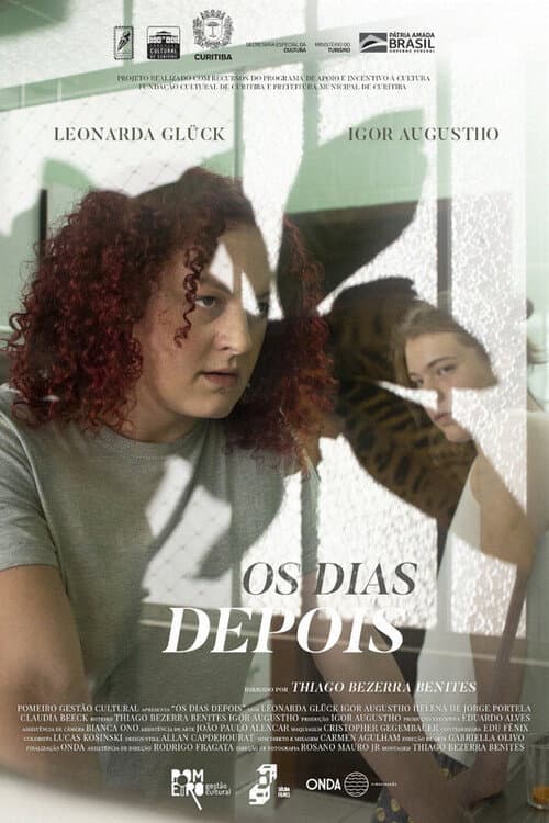 Постер: Os Dias Depois