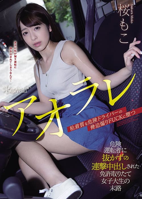 Постер: アオラレ 危険運転者に抜かずの連撃中出しされた免許取りたて女子大生の末路