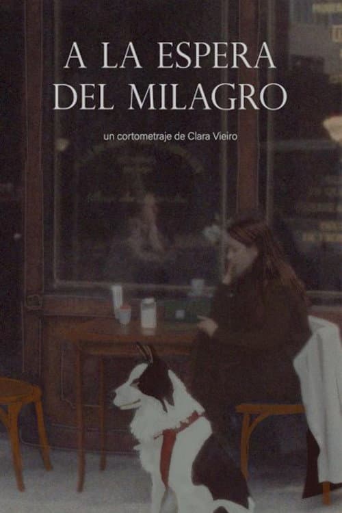 Постер: A la espera del milagro