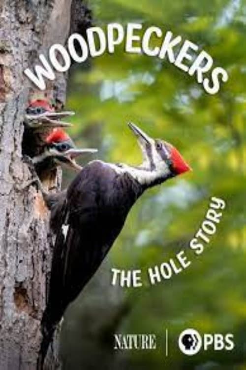 Постер: Woodpeckers: The Hole Story