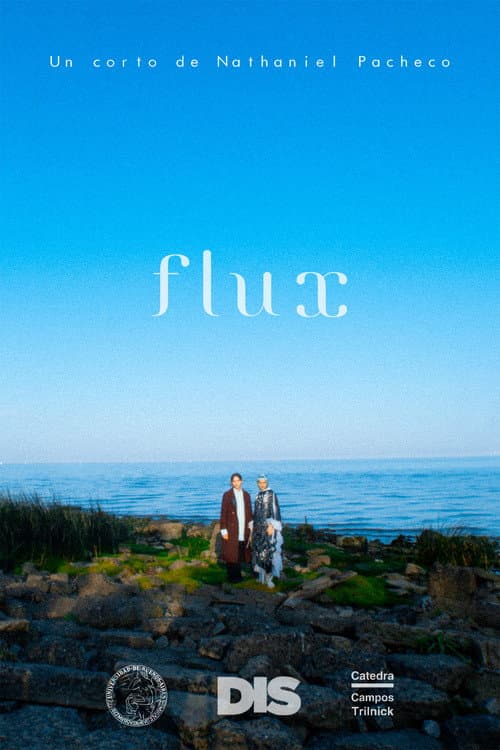 Постер: Flux