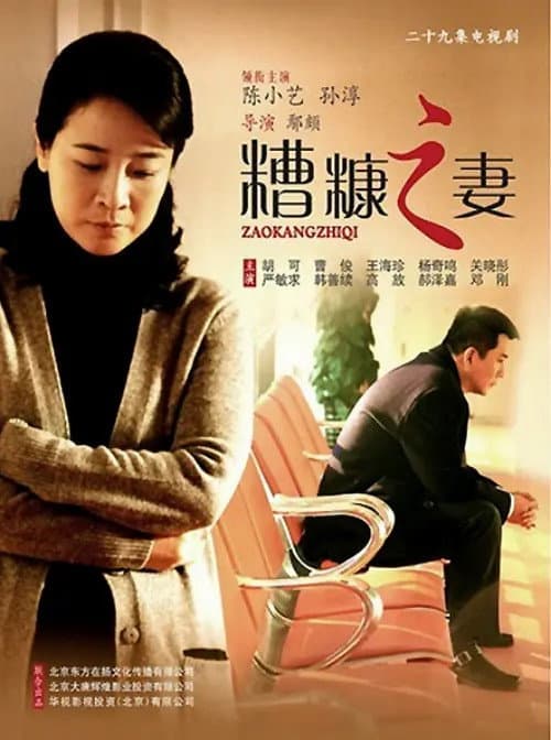 Постер: 我的糟糠之妻