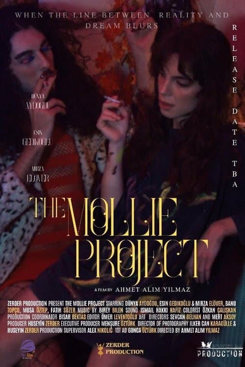 Постер: The Mollie Project