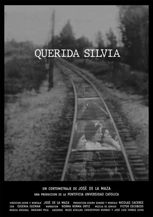 Постер: Querida Silvia