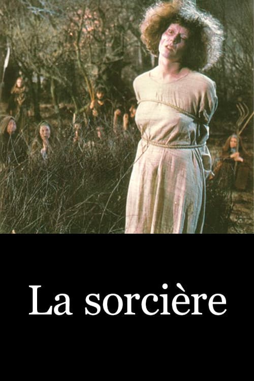Постер: La Sorcière