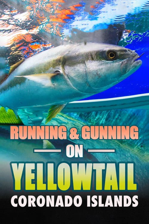 Постер: Running & Gunning on Yellowtail: Coronado Islands