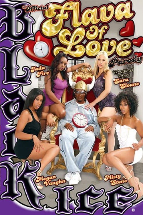 Постер: Official Flava of Love Parody