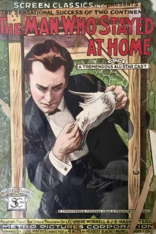 Постер: The Man Who Stayed at Home