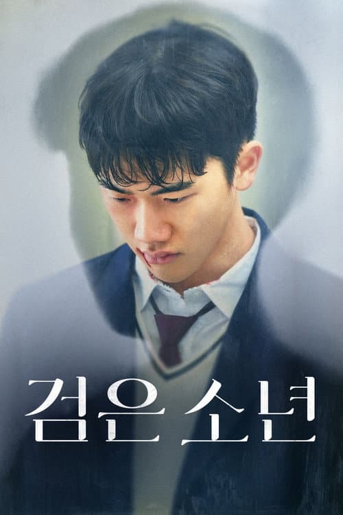 Постер: 검은 소년