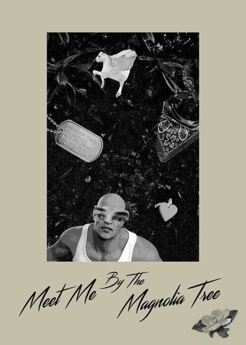 Постер: Meet Me By The Magnolia Tree