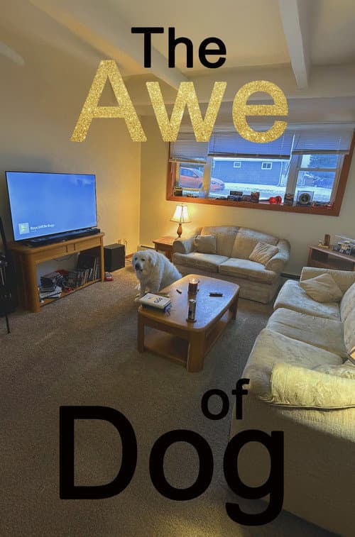 Постер: The Awe of Dog