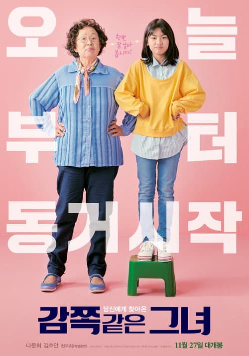 Постер: 감쪽같은 그녀