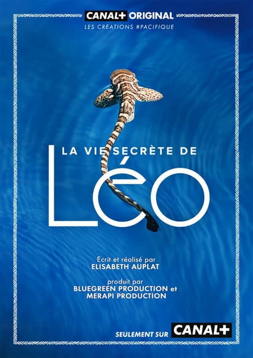 Постер: La Vie secrète de Léo