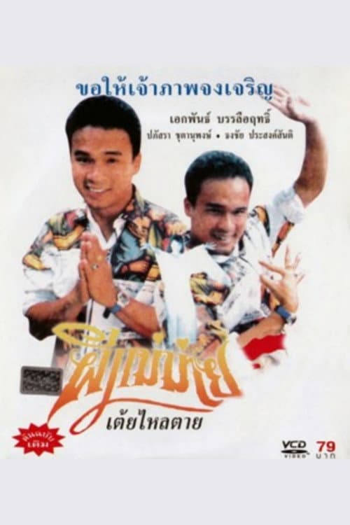 Постер: ผีแม่ม่าย
