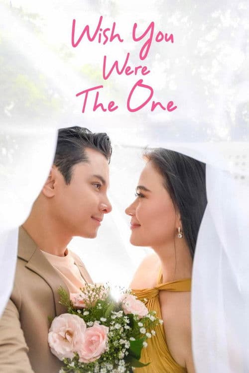 Постер: Wish You Were The One
