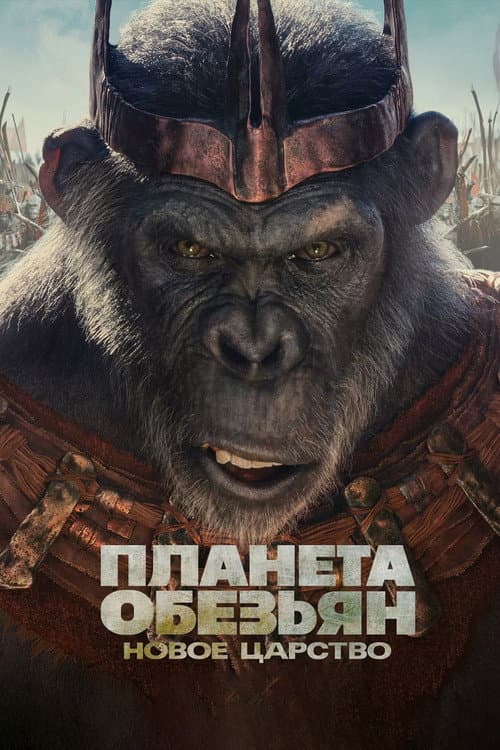 Постер 6