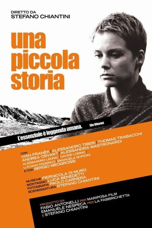 Постер: Una piccola storia