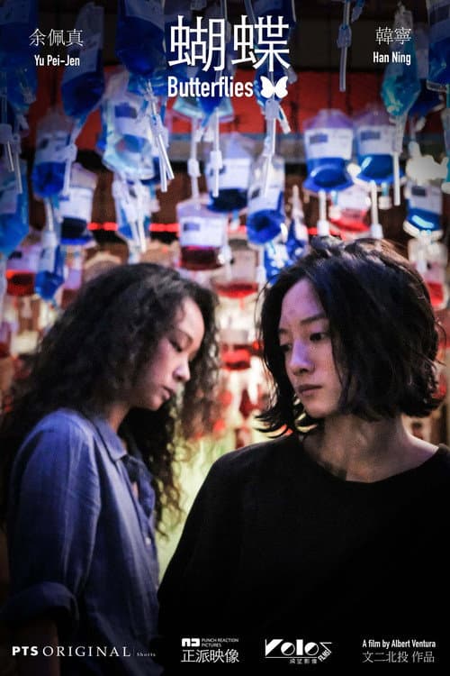 Постер: 蝴蝶