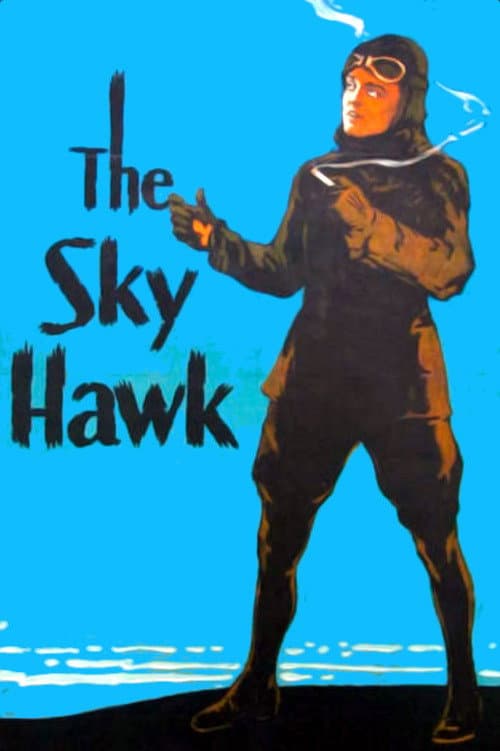 Постер: The Sky Hawk
