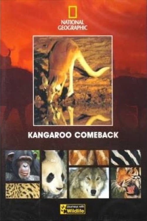 Постер: Kangaroo Comeback