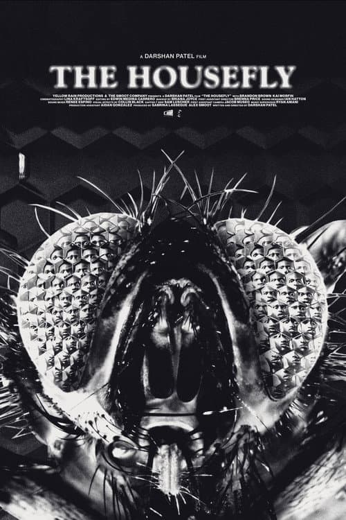 Постер: The Housefly