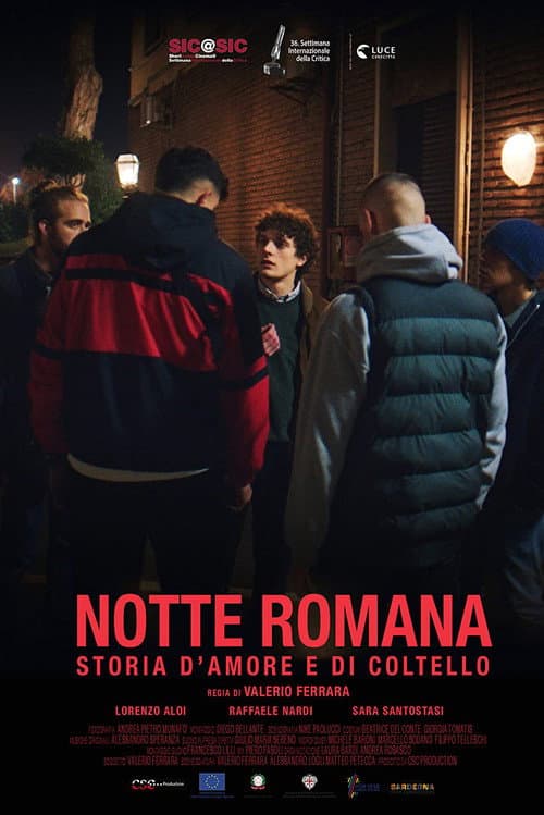 Постер: Notte Romana