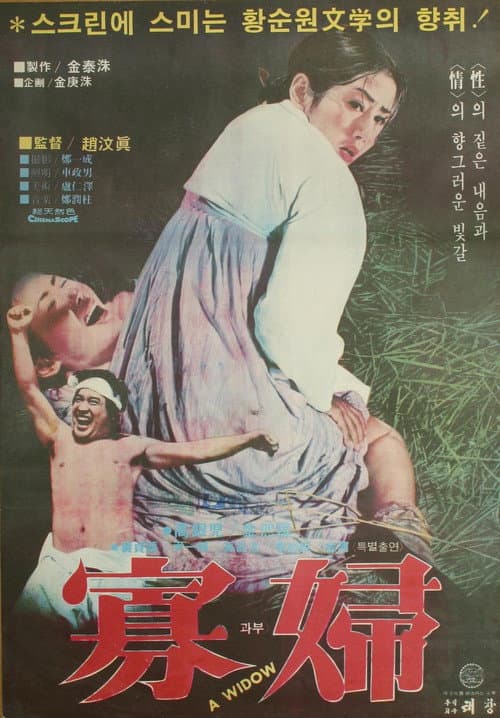 Постер: 과부