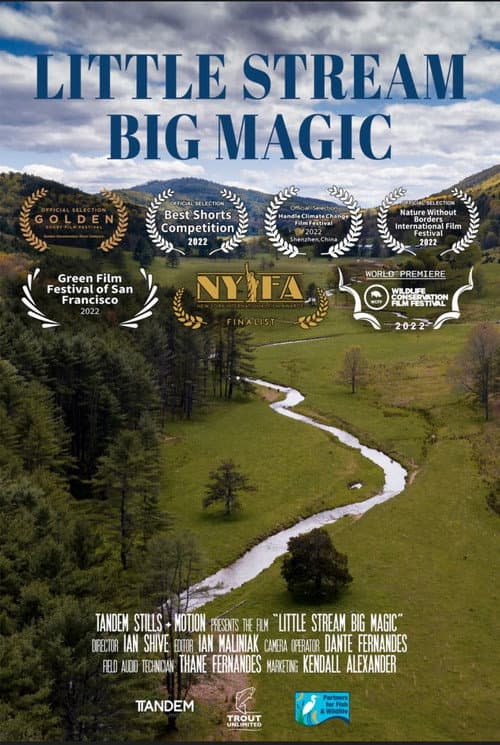 Постер: Little Stream, Big Magic
