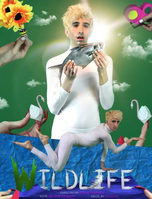 Постер: Wildlife