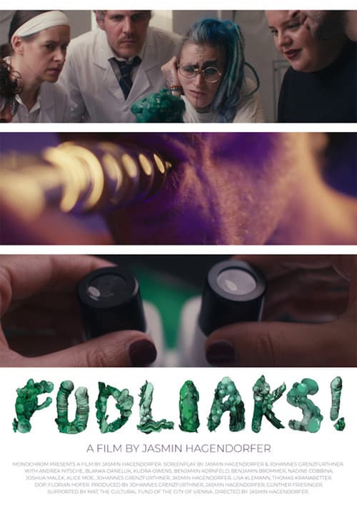 Постер: Fudliaks! Zerfetzt die Geschlechter!