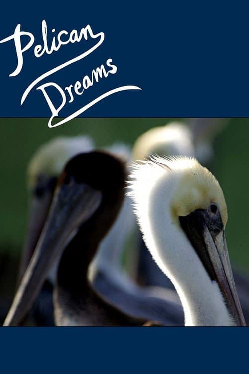 Постер: Pelican Dreams